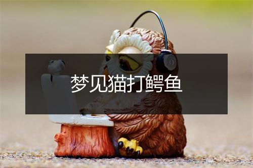 梦见猫打鳄鱼