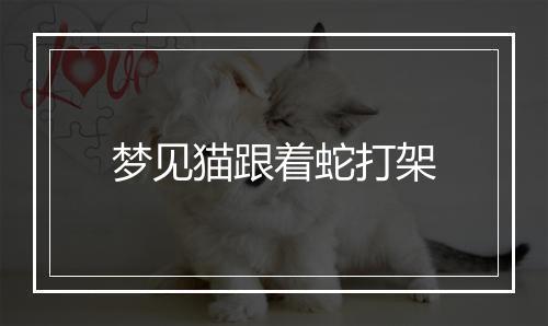 梦见猫跟着蛇打架