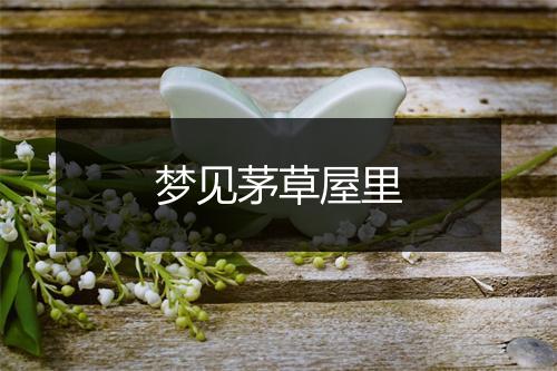 梦见茅草屋里