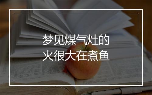 梦见煤气灶的火很大在煮鱼