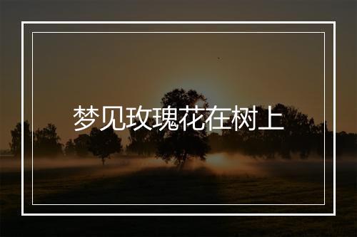 梦见玫瑰花在树上