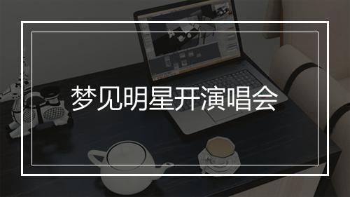 梦见明星开演唱会