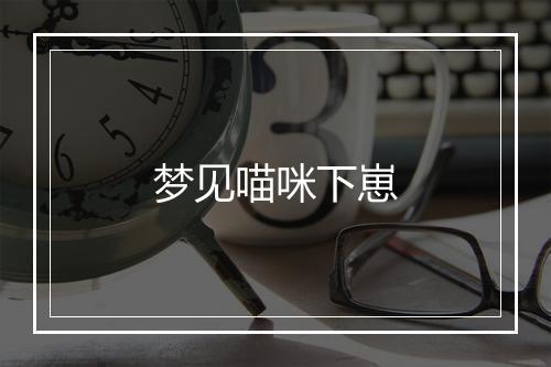 梦见喵咪下崽