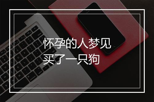 怀孕的人梦见买了一只狗