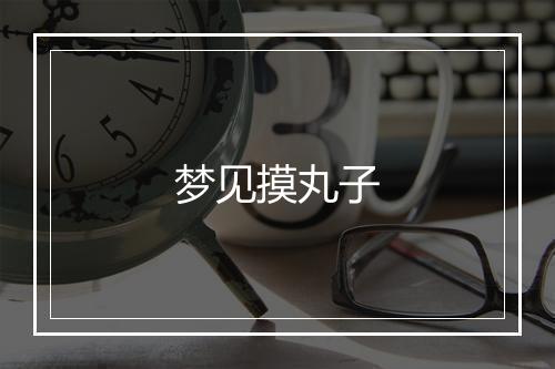 梦见摸丸子