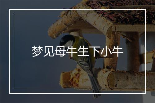 梦见母牛生下小牛