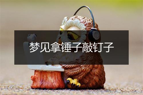 梦见拿锤子敲钉子