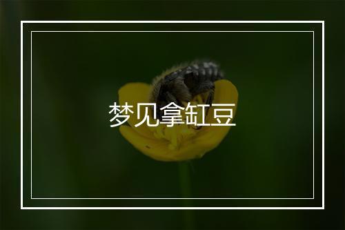 梦见拿缸豆