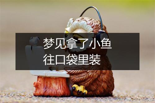 梦见拿了小鱼往口袋里装