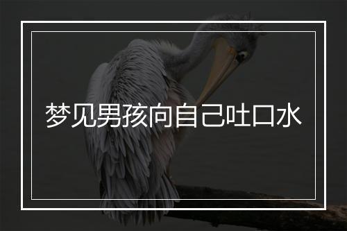 梦见男孩向自己吐口水