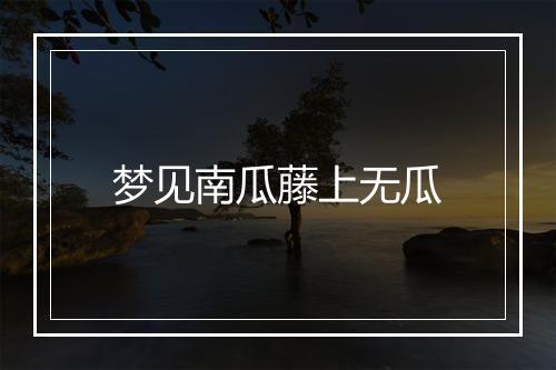 梦见南瓜藤上无瓜