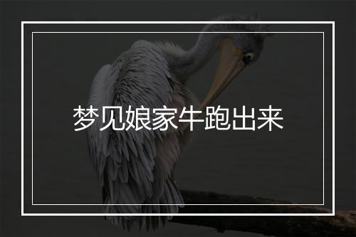 梦见娘家牛跑出来