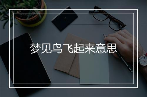 梦见鸟飞起来意思