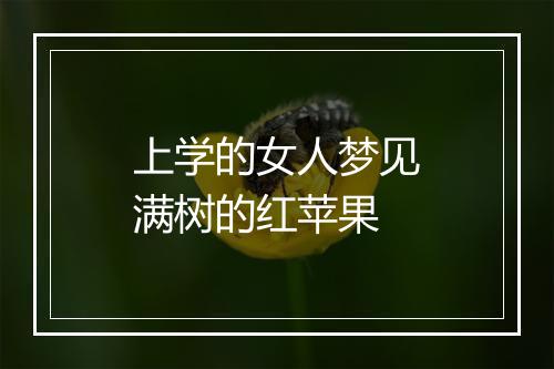 上学的女人梦见满树的红苹果