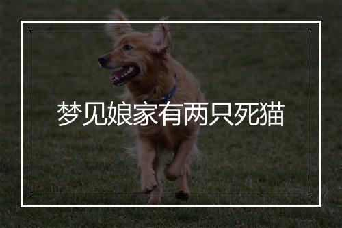 梦见娘家有两只死猫