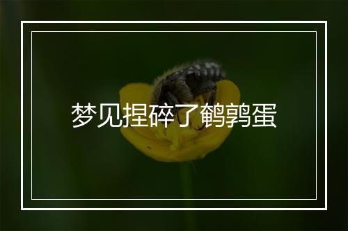 梦见捏碎了鹌鹑蛋