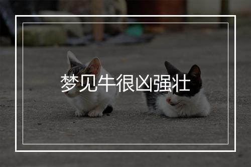 梦见牛很凶强壮