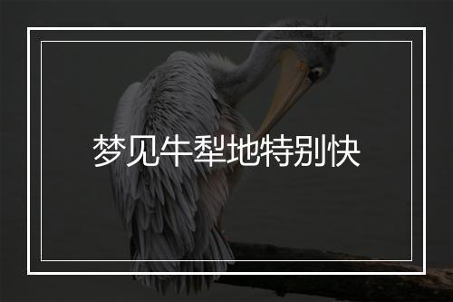 梦见牛犁地特别快