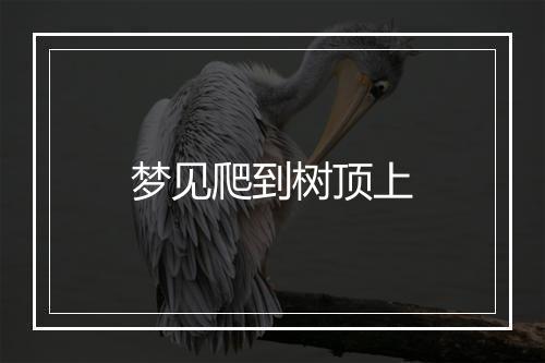 梦见爬到树顶上