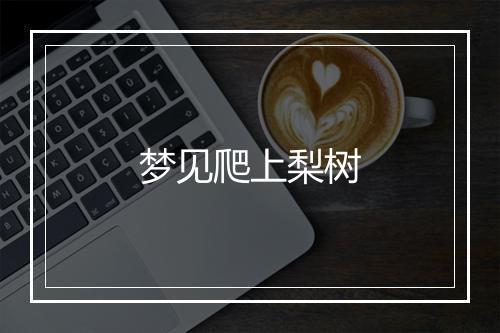 梦见爬上梨树