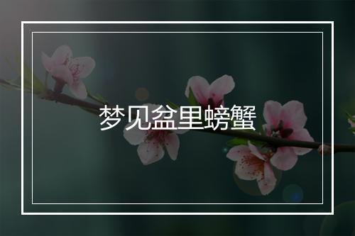 梦见盆里螃蟹