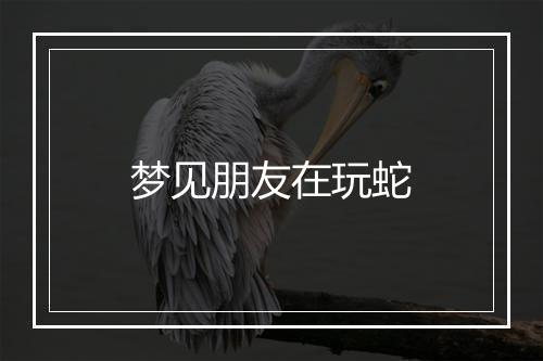 梦见朋友在玩蛇