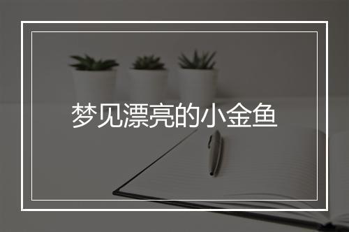 梦见漂亮的小金鱼