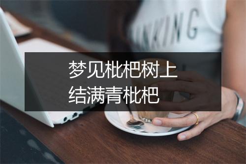 梦见枇杷树上结满青枇杷