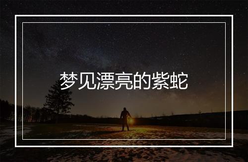 梦见漂亮的紫蛇