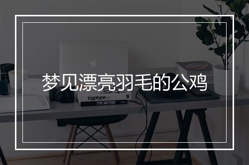 梦见漂亮羽毛的公鸡