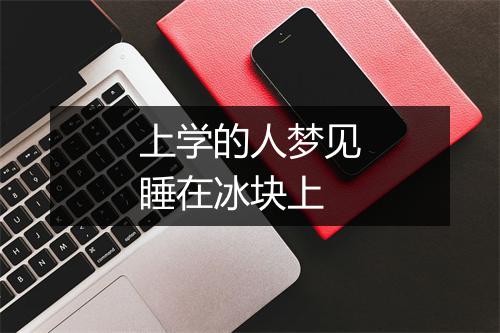 上学的人梦见睡在冰块上