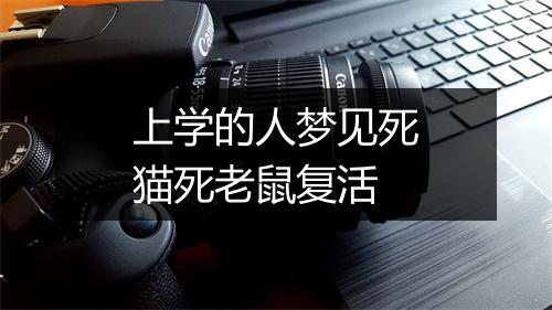 上学的人梦见死猫死老鼠复活