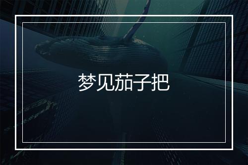 梦见茄子把