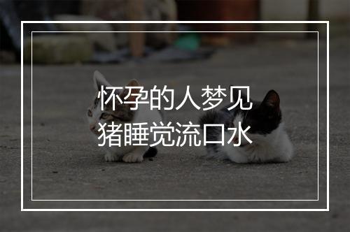 怀孕的人梦见猪睡觉流口水