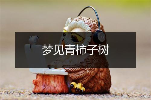 梦见青柿子树