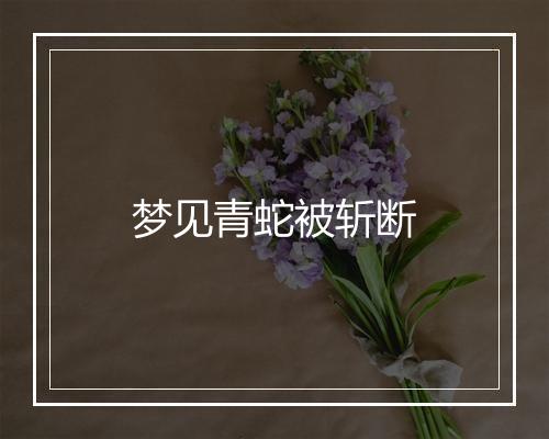 梦见青蛇被斩断