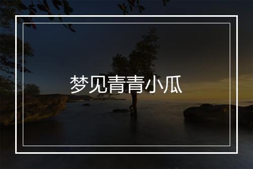 梦见青青小瓜