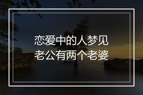 恋爱中的人梦见老公有两个老婆