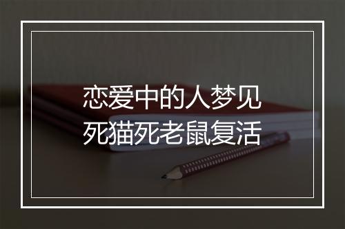 恋爱中的人梦见死猫死老鼠复活