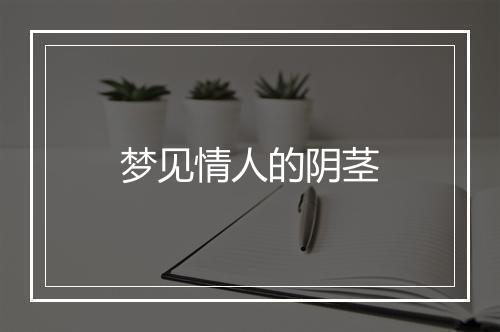 梦见情人的阴茎