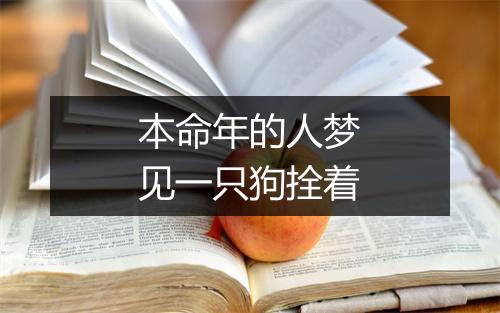 本命年的人梦见一只狗拴着