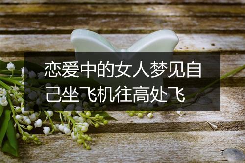 恋爱中的女人梦见自己坐飞机往高处飞