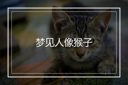 梦见人像猴子