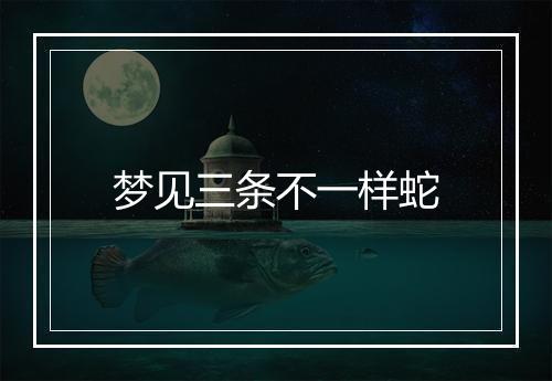 梦见三条不一样蛇