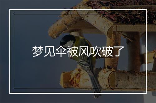 梦见伞被风吹破了