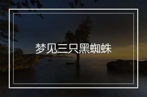 梦见三只黑蜘蛛