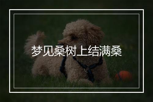 梦见桑树上结满桑