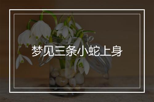 梦见三条小蛇上身