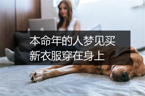 本命年的人梦见买新衣服穿在身上