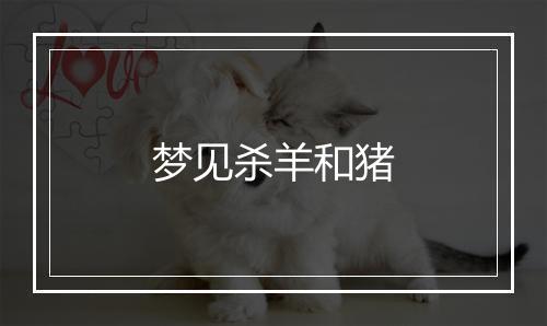 梦见杀羊和猪